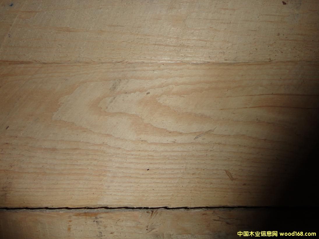 ˮ����8/4 FAS����.JPG