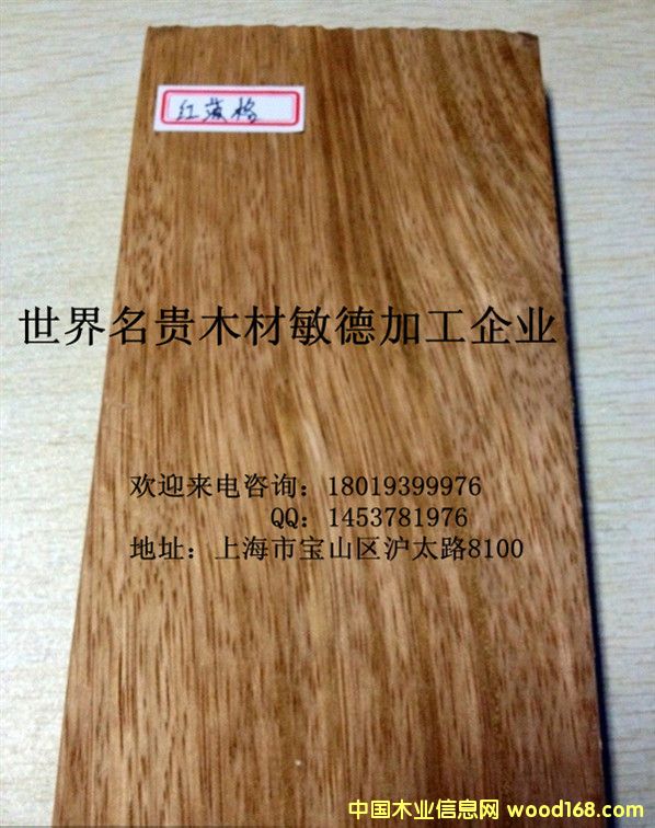 紅菠格的詳細(xì)介紹