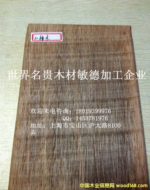 山樟木的詳細(xì)介紹