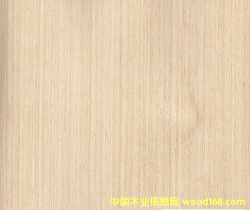 ��ľ5Q��Ԕ��(x��)��B