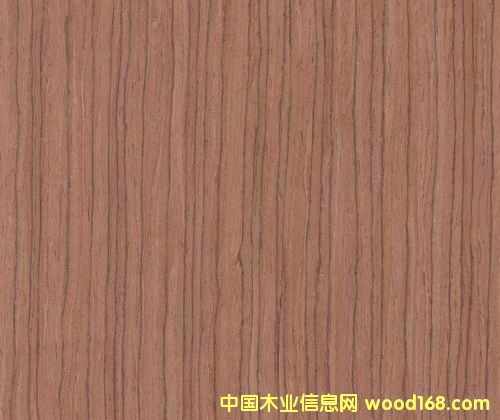 �ϼtľ��Ԕ��(x��)��B