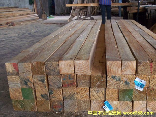 ����(����)