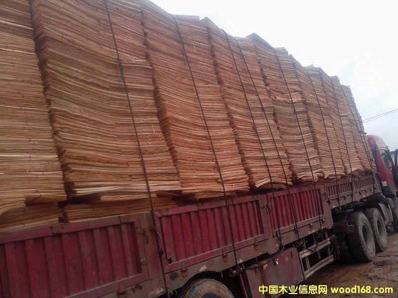 桉木單板的詳細(xì)介紹