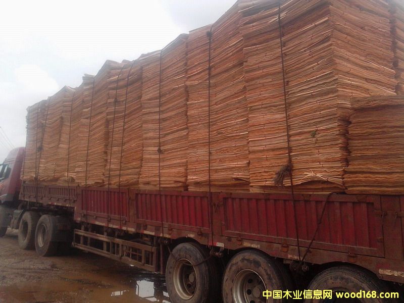 桉木單板的詳細(xì)介紹