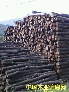 ��ľ2��Ԕ��(x��)��B