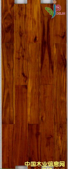 ��˼ľָ�ӵ�Ԕ����B