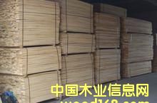 ����ľ��Ԕ��(x��)��B