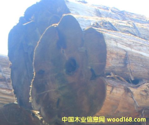 ����ԭľ��Ԕ��(x��)��B