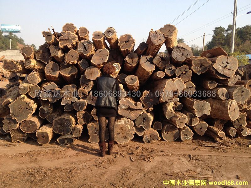 �Ϲ�̴(��̴����ľ,�|�Ǻ��S̴)1106#4