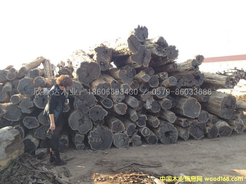 �Ϲ�̴(��̴����ľ,�|�Ǻ��S̴)1106#5