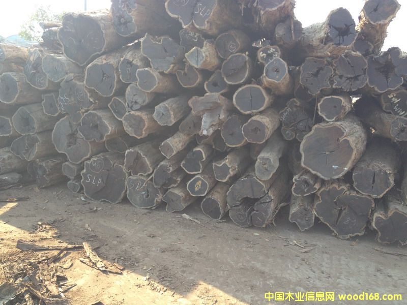 �Ϲ�̴(��̴����ľ,�|�Ǻ��S̴)1106#1