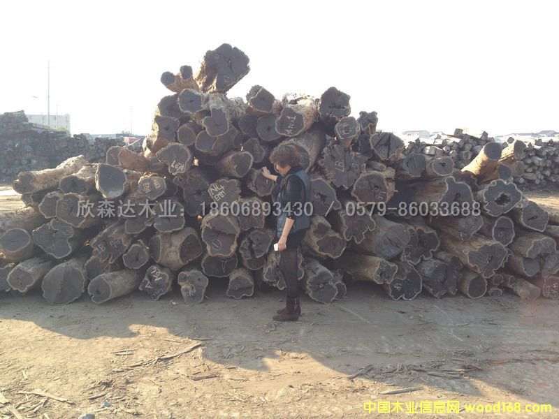 �Ϲ�̴(��̴����ľ,�|�Ǻ��S̴)1106#6