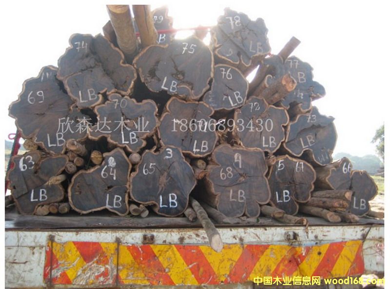 �Ϲ�̴(��̴����ľ)