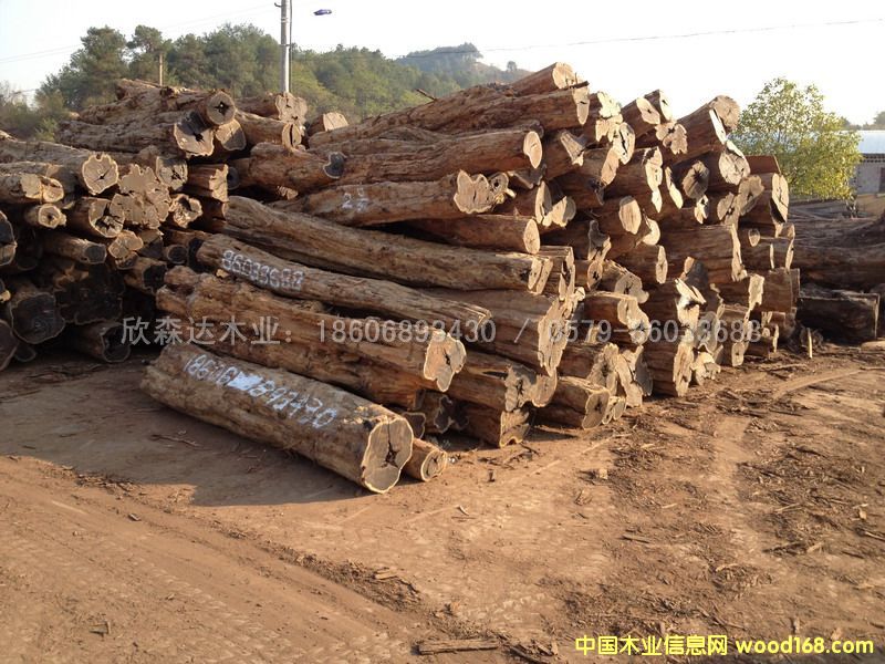 �Ϲ�̴(��̴����ľ,�|�Ǻ��S̴)1106#2