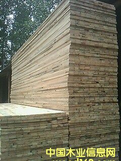 ��ľ��Ԕ��(x��)��B