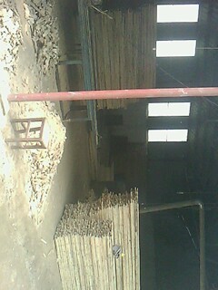 ��ľ��Ԕ��(x��)��B