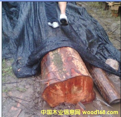 ���ľ�ϵ�Ԕ��(x��)��B