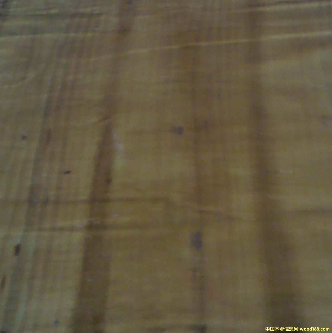 ���a(ch��n)���Sģ���Ԕ��(x��)��B