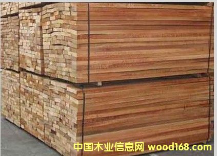 西南樺的詳細(xì)介紹