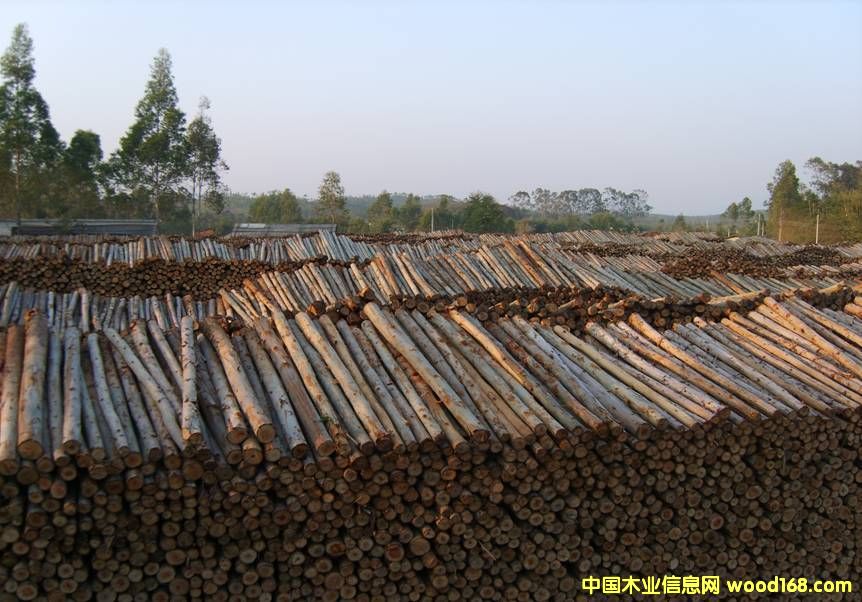 ���ԭľ��Ԕ����B