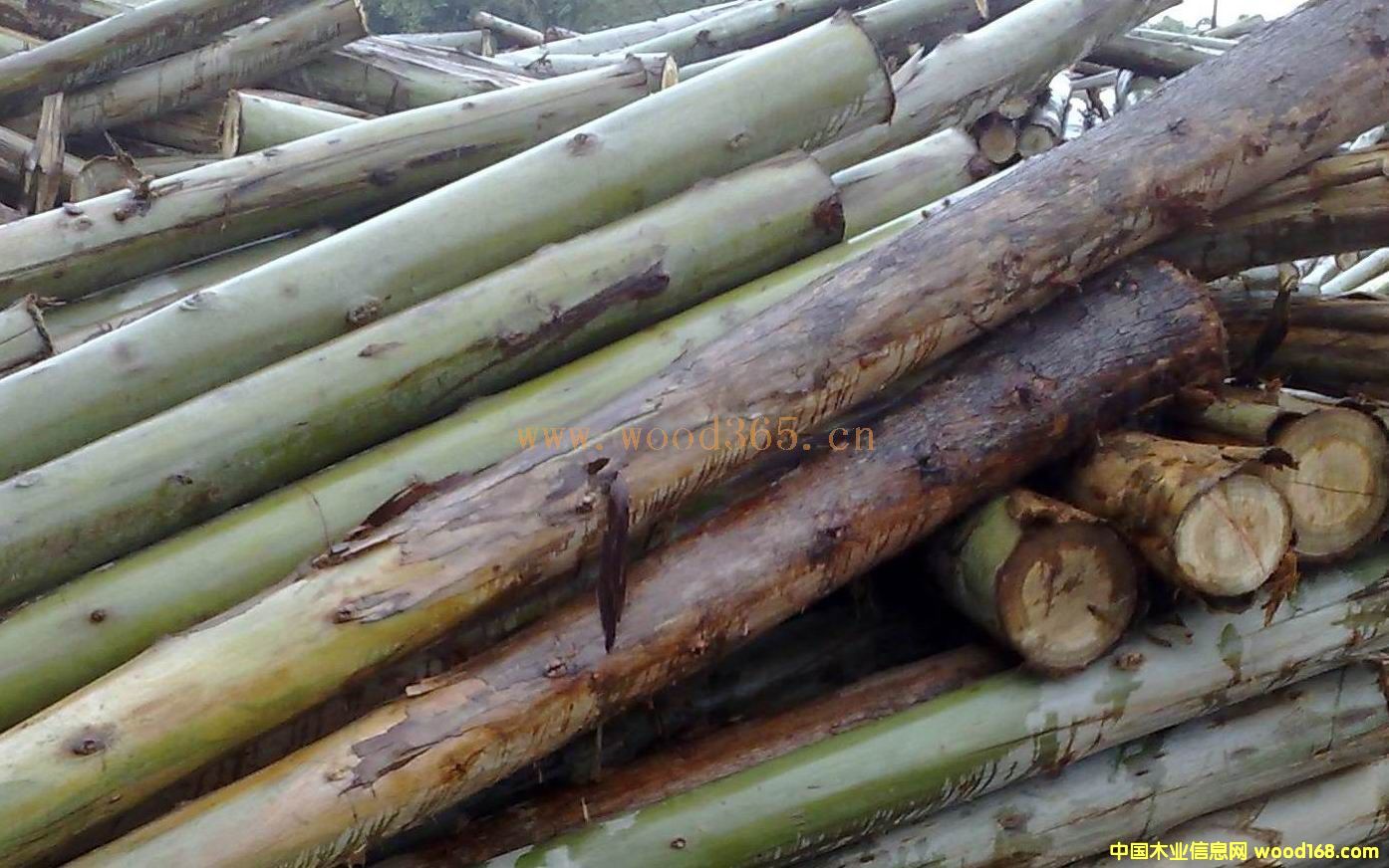 ����Ԕ����B