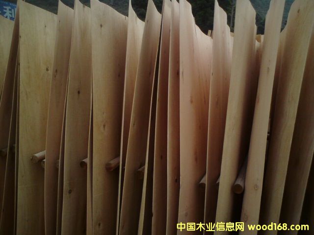 С�~��ľƤ��Ԕ��(x��)��B