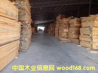 ݗ���ɟo��(ji��)��ɰ�ĵ�Ԕ����B