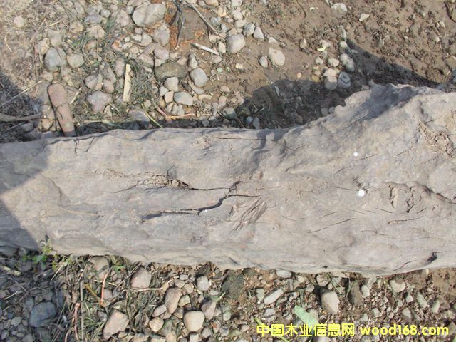 ꎳ�ľ74��Ԕ��(x��)��B