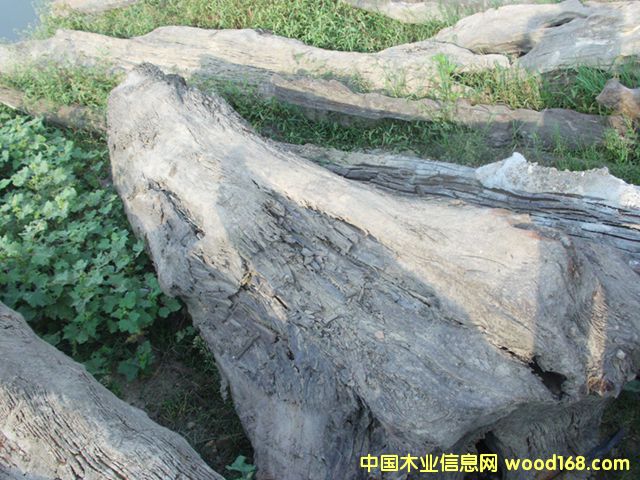 ꎳ�ľ44��Ԕ��(x��)��B