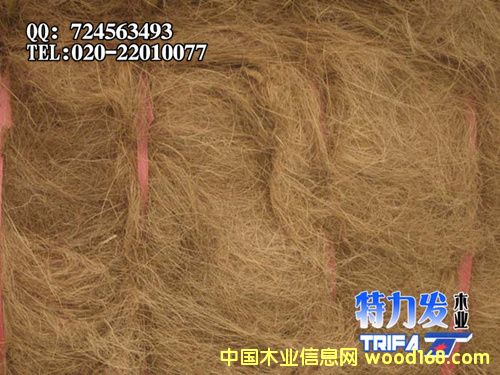 Ҭ�z��Ԕ��(x��)��B