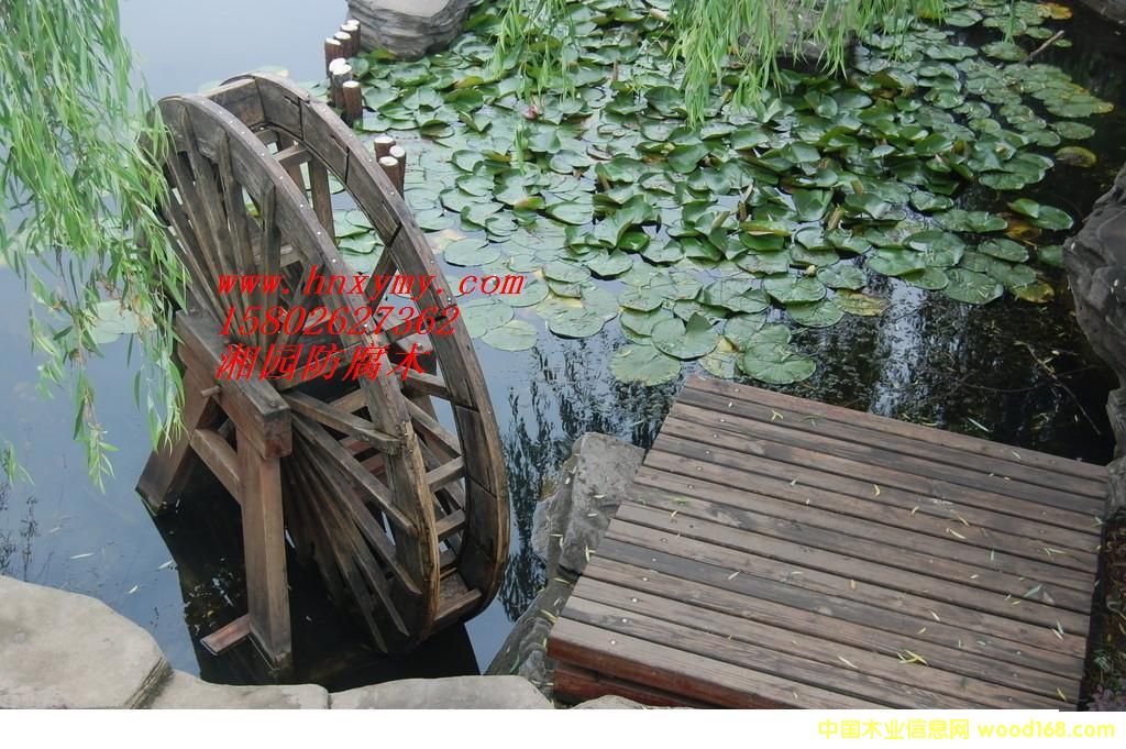 ���Ϸ���ľˮ܇��Ԕ��(x��)��B