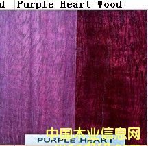 紫心木的詳細(xì)介紹