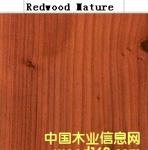 Red Wood Mature��Ԕ��(x��)��B