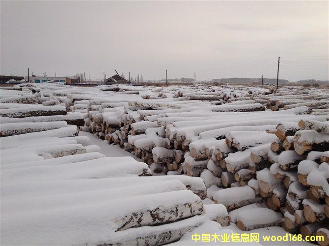 ���_˹��ľ��ĵ�Ԕ��(x��)��B