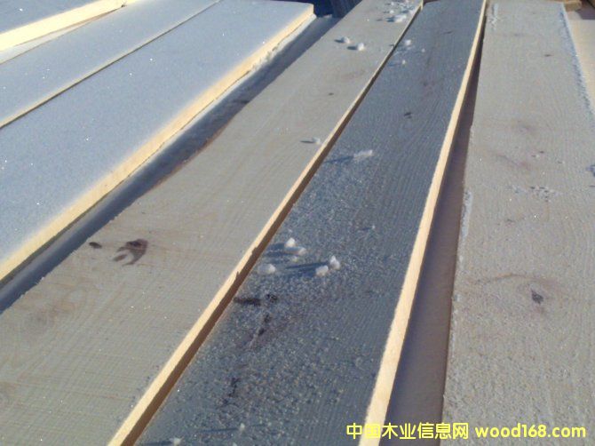 ���_˹��ľ���