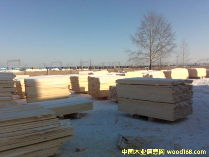 ���_˹��ľ���