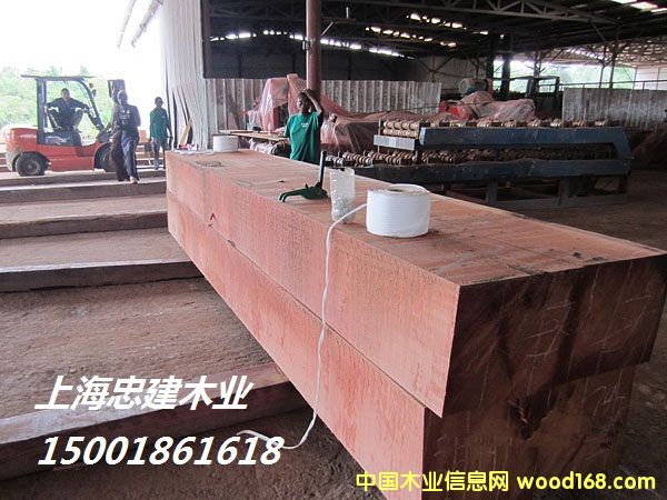 [��] ���޼t���淽��