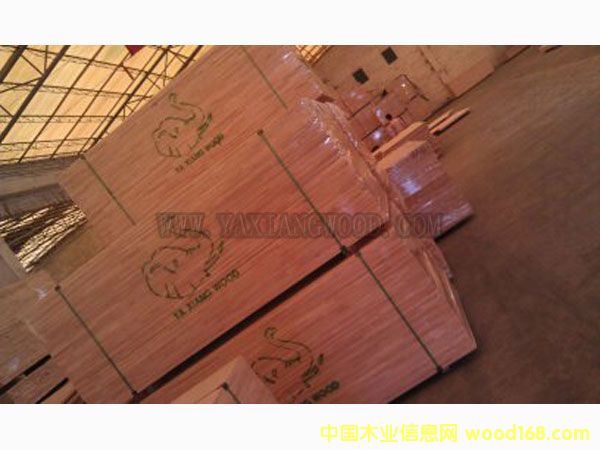 �M(j��n)��̩�����zľָ�Ӱ��Ԕ��(x��)��B