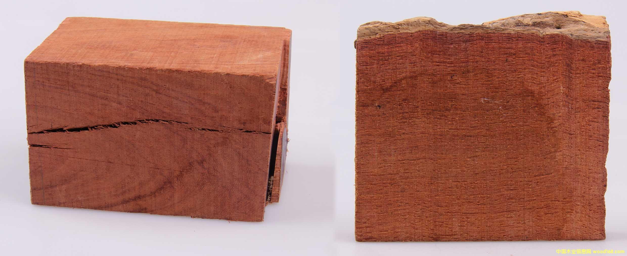 ����ľ��Ԕ��(x��)��B