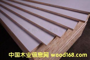 ������Ԕ����B