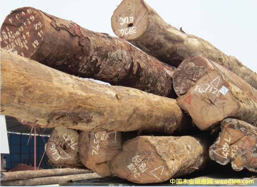 �̈́ڵ�Ԕ����B