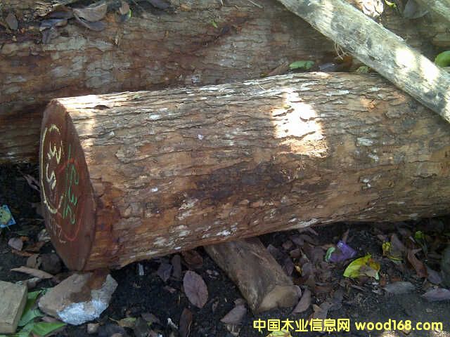 ӡ���һ�оľ��Ԕ��(x��)��B