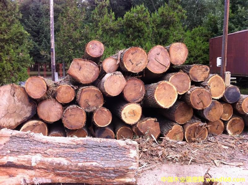 �W����ľ����ľ��Ԕ��(x��)��B