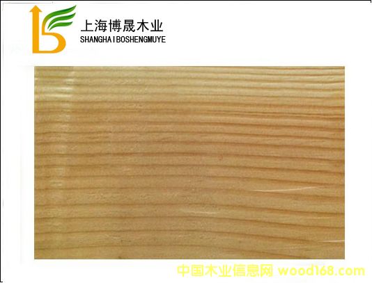 花旗松的詳細(xì)介紹