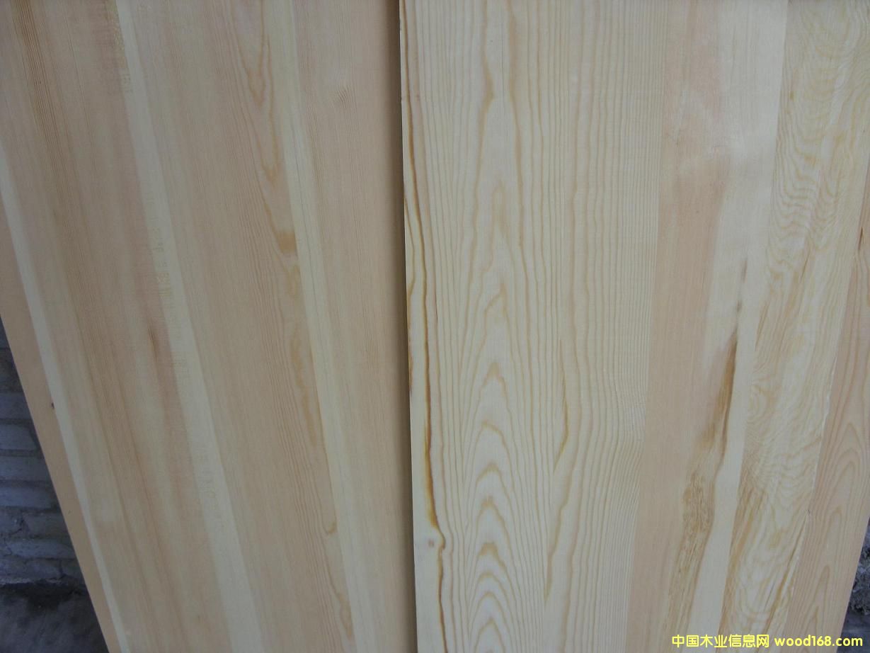 樟子松的詳細(xì)介紹