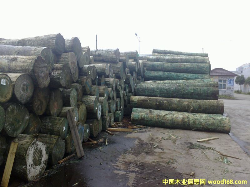 �����m�����o(w��)��(ji��)��ԭľ