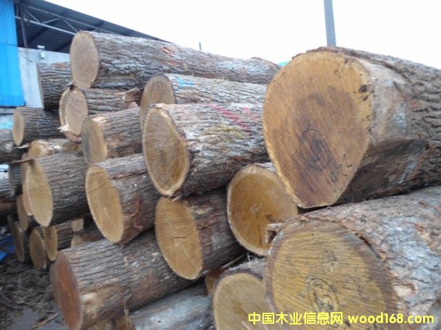 ���м�����ԭľ