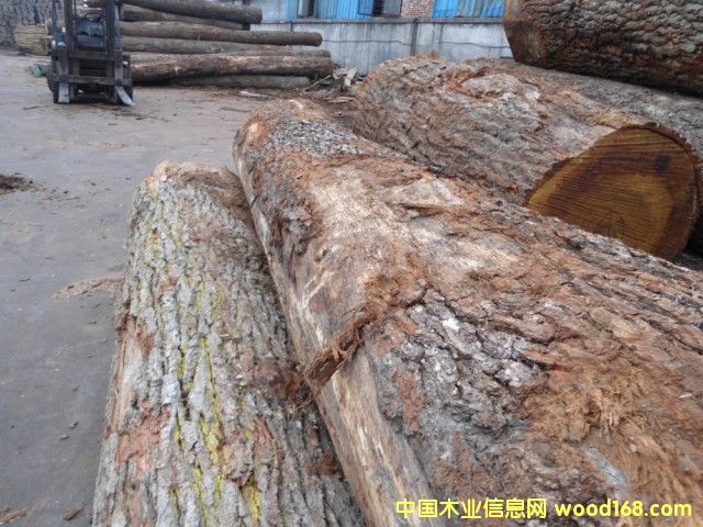 ���м�����ԭľ