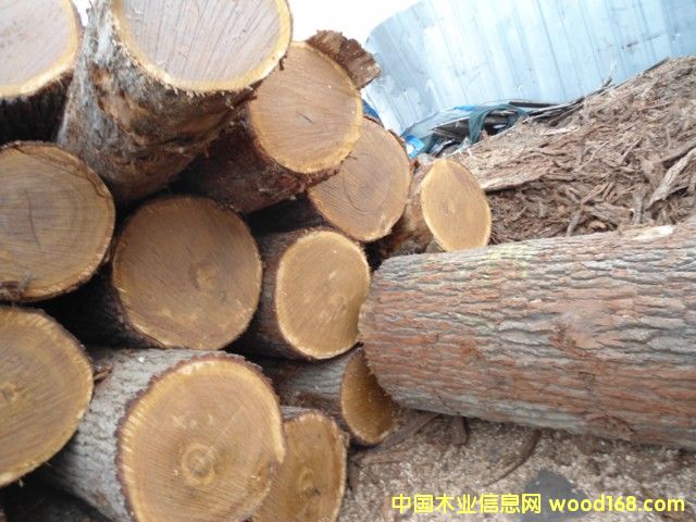 ���м�(j��)����ԭľ