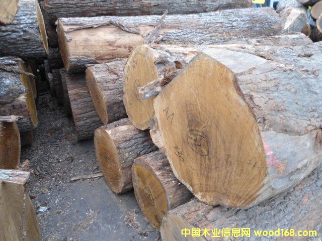 ���м�(j��)����ԭľ